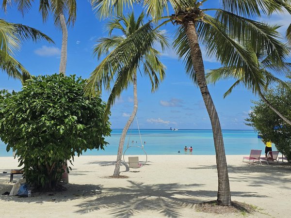 Comment choisir un abri de camping en région de climat océanique?